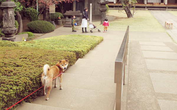 天王寺 谷中霊園入口 天王寺 谷中霊園入口